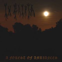 A Forest of Ambiances